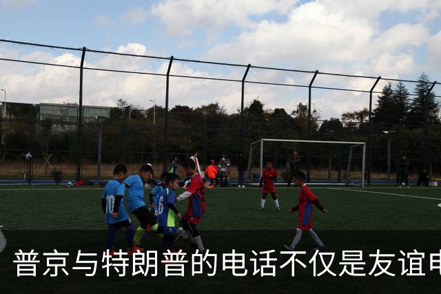 普京与特朗普的电话不仅是友谊电话，更是欧洲的“心灵拷问”！